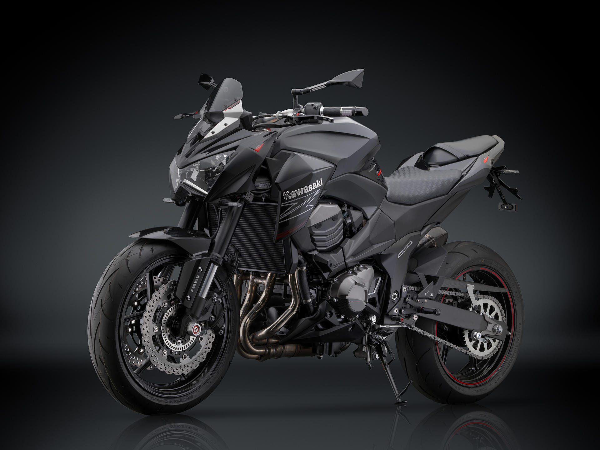 Z 800 (2012 – 13) – Rizoma