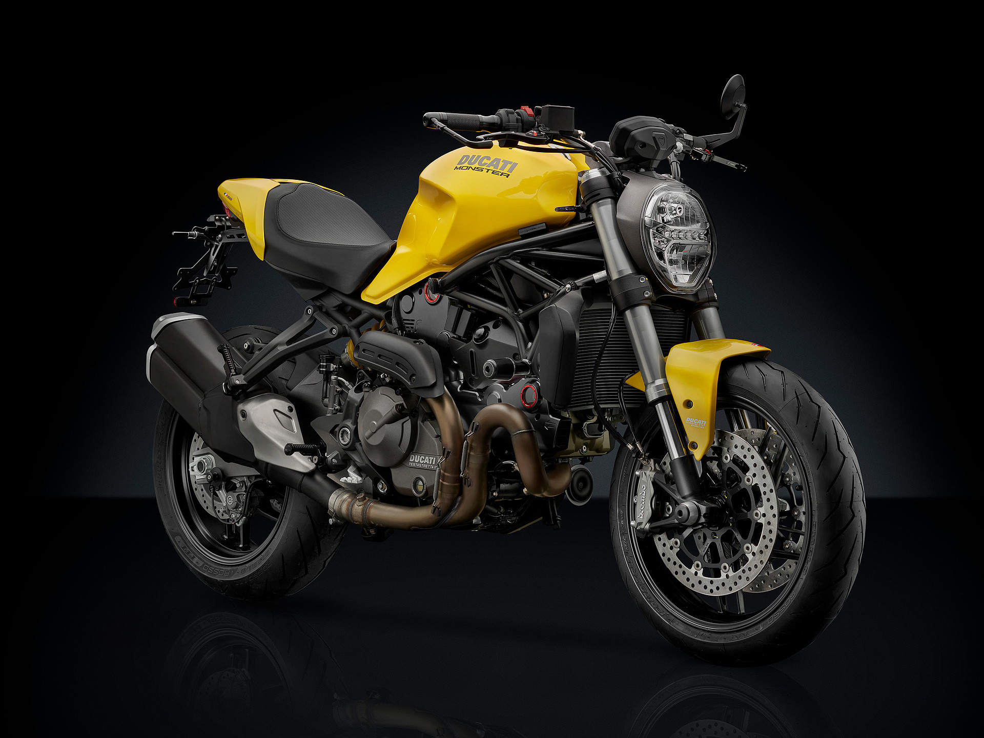 Monster 821 (2018 – 20) – Rizoma