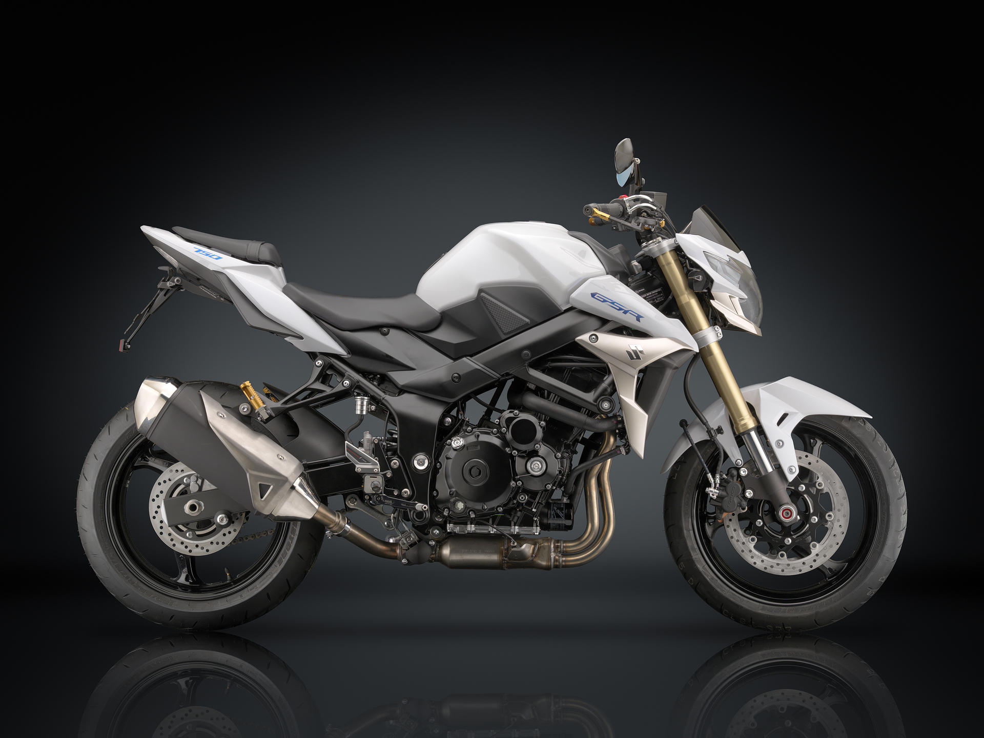 GSR 750 (2010 – 15) – Rizoma